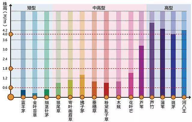 河南景观设计行业设计植物需要注重的问题有哪些？